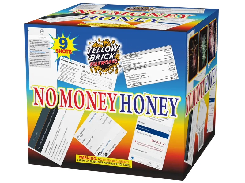 NO MONEY HONEY product photo